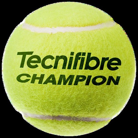 ������� ����� ���� | Tecnifibre Champion