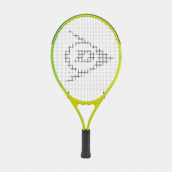 ���� ���� |  Dunlop TRISTORM JR 21