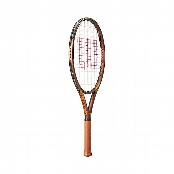 ���� ���� | Wilson Pro Staff 25 V14