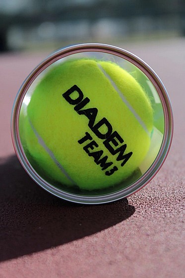 6 ������� ������ Diadem Premier Team